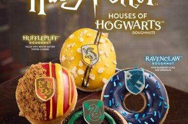 0820.18 Krispy Kreme Unveils Harry Potter Doughnuts