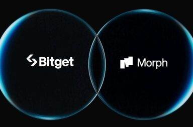 0913.10 Bitget Transfers BGB to Morph Foundation