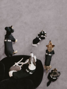 3 2 TEAM WANG Design Launches Pet-Friendly Sub-Series: FRIENDS