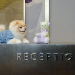 Eastwood Richmonde Petcation Package Eastwood Richmonde Hotel teams up with Barkhaus to elevate pet-friendly stays