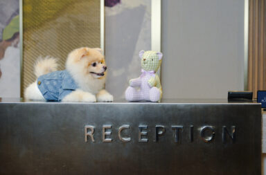 Eastwood Richmonde Petcation Package Eastwood Richmonde Hotel teams up with Barkhaus to elevate pet-friendly stays