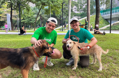 Volunteers from Grab1 GrabMart Makes It Easier to Donate Pet Essentials to Animal Rescues